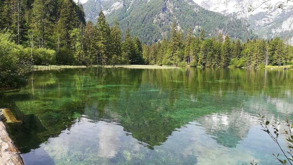 Schiederweiher
