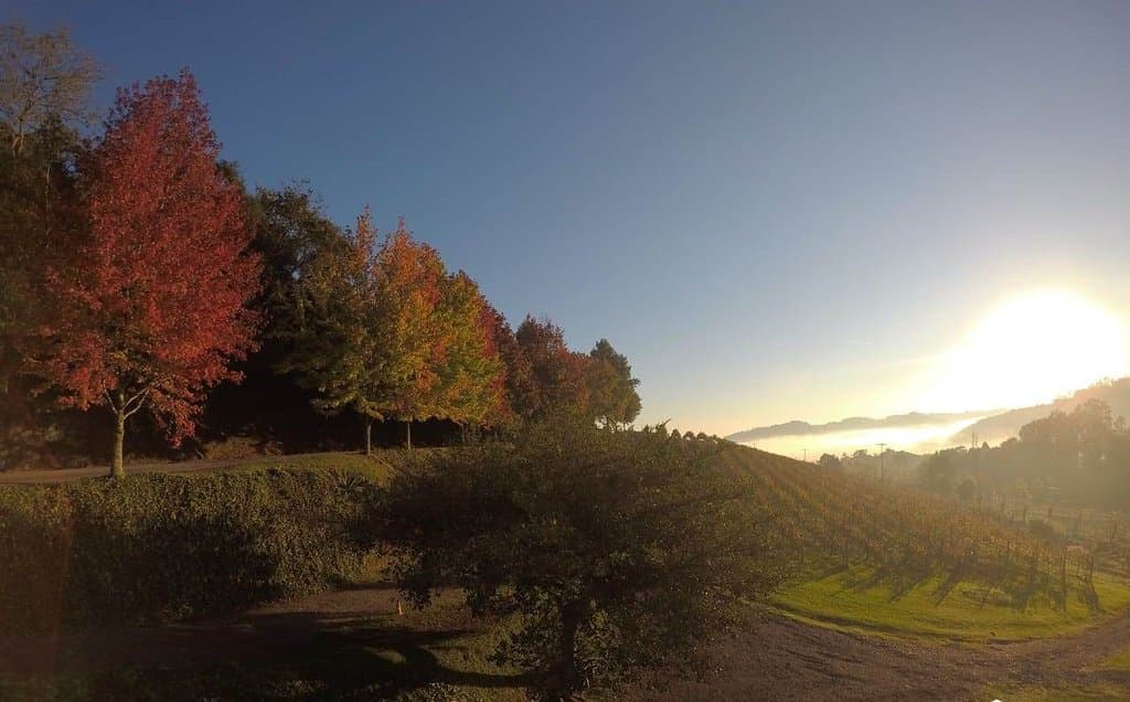 Outono: explosão de cores!