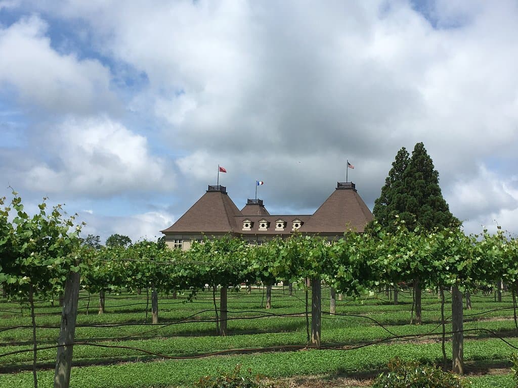 Vineyards