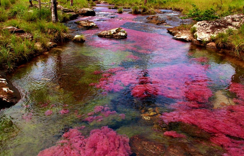 Se le nota el photoshop pero muy real