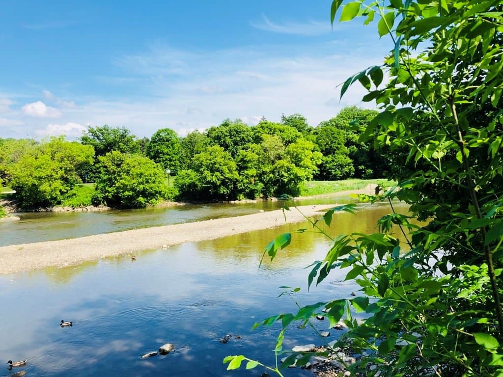 Humber River Trail