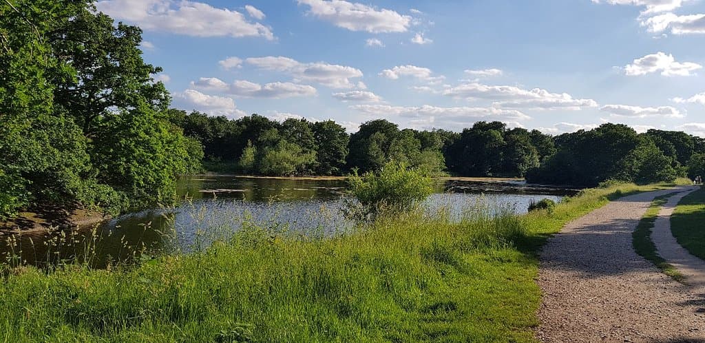 Wanstead Park