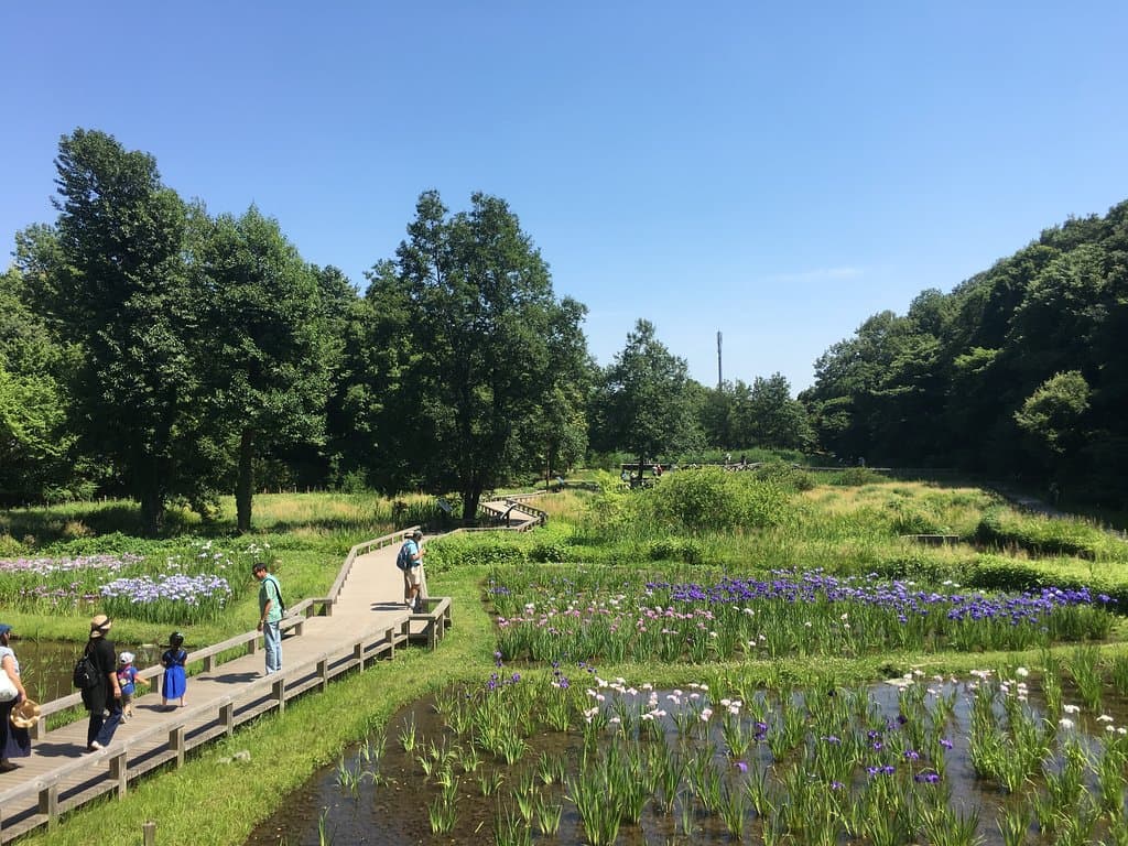 Jindaiji Botanical Garden