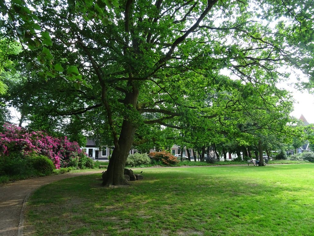 Gouverneurstuin Assen in het Gouverneurspark  