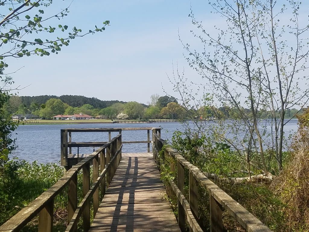 Dockside viewing spot