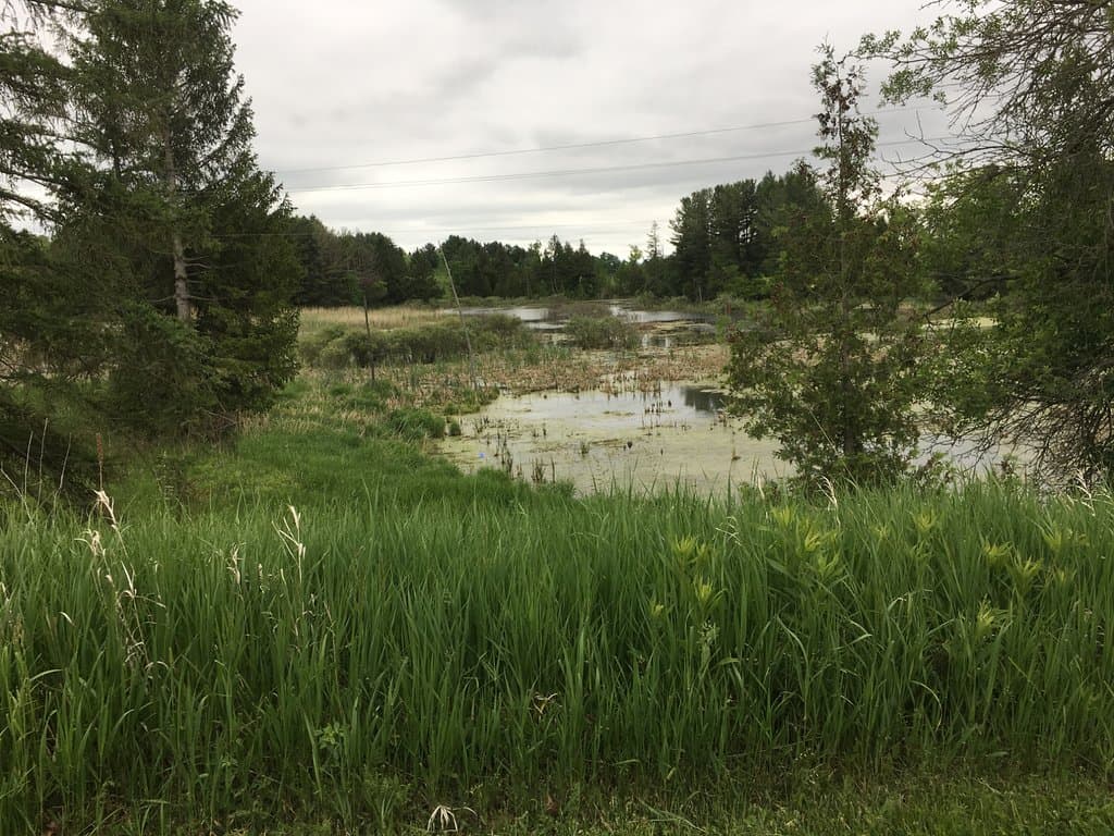 park