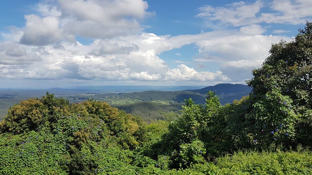 McCarthy's Lookout