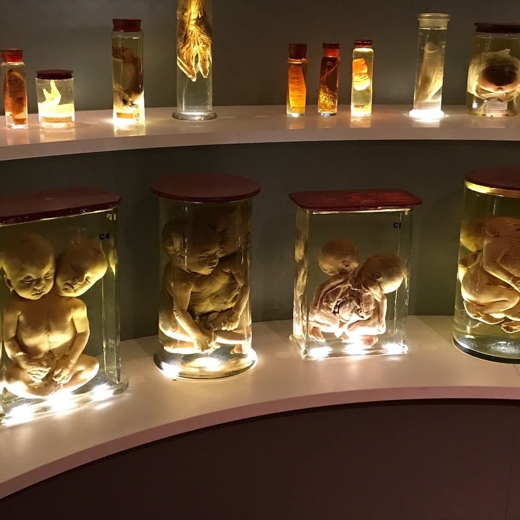 University Museum Groningen