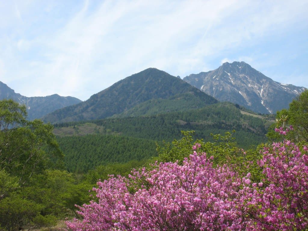 八ヶ岳とミツバツツジ