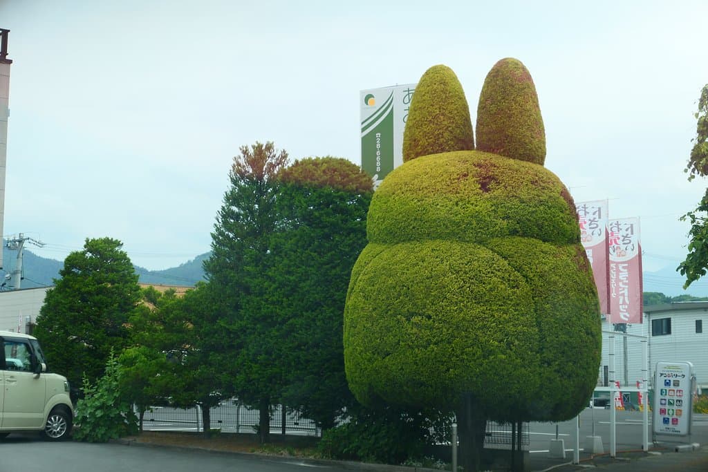 砥石城に行く道沿いに見かけました。可愛いー
