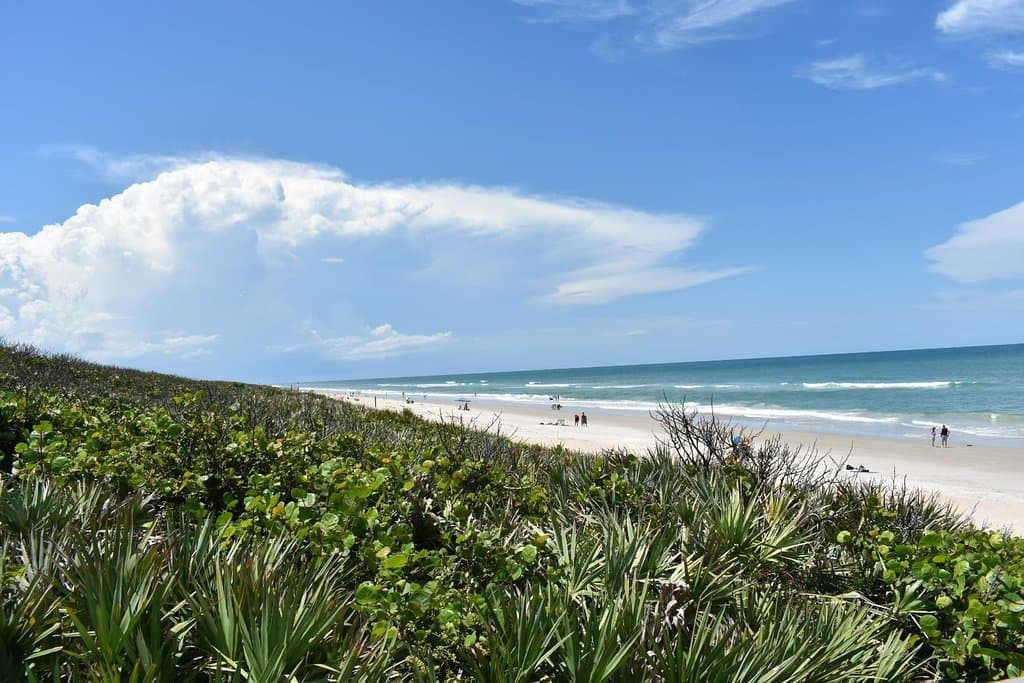 Canaveral National Seashore Apollo Beach