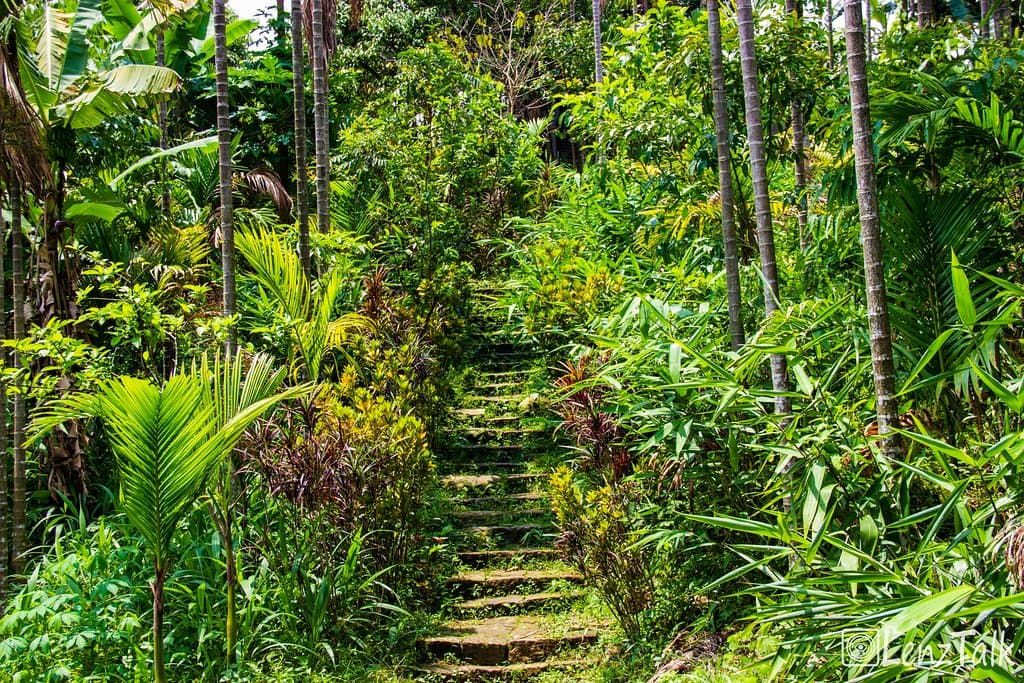Stairs for the walk downwards