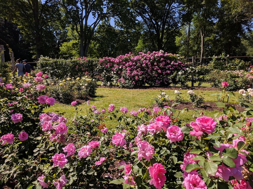 The colors are gorgeous.