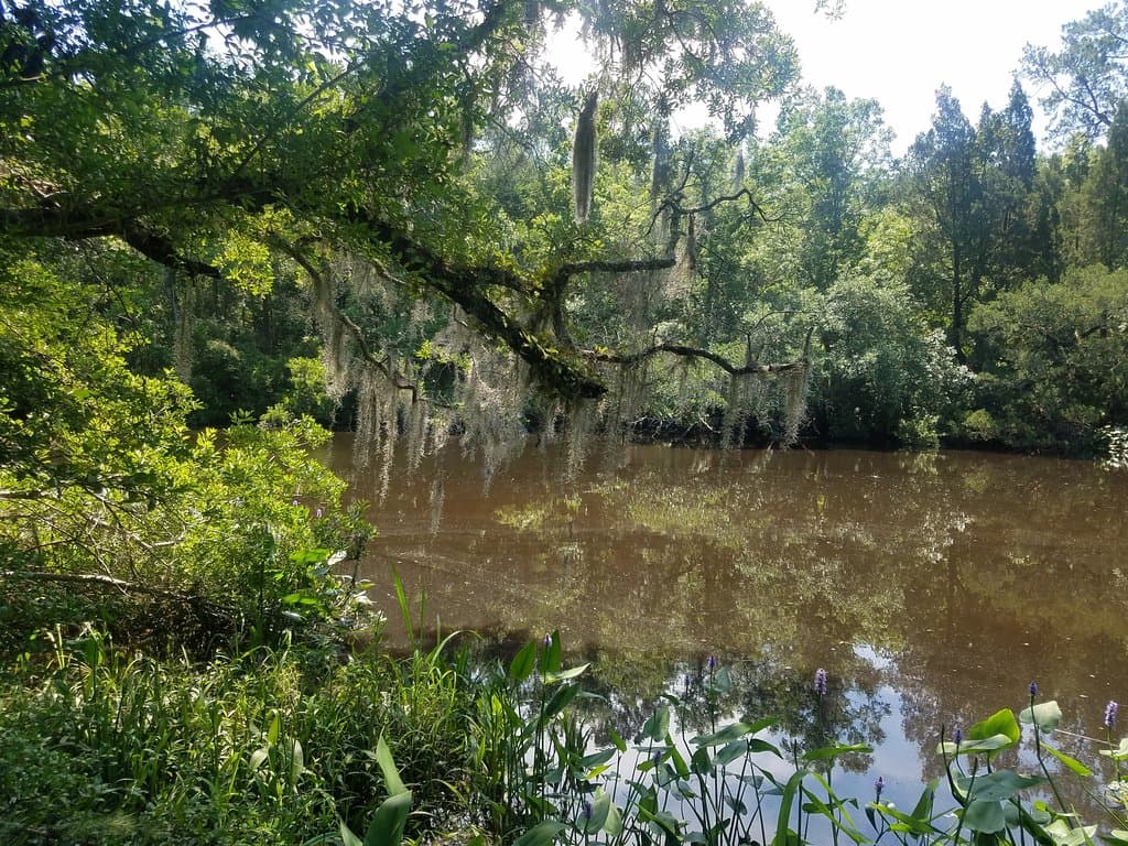 Colonial Dorchester State Historic Site