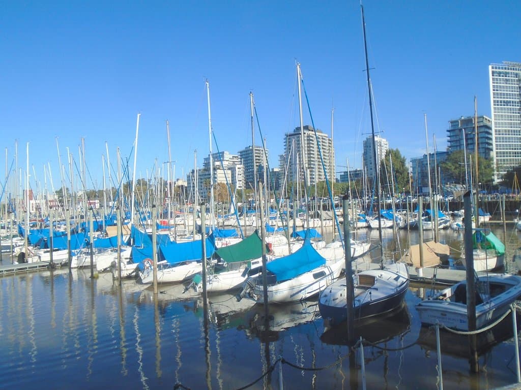 Puerto de Olivos