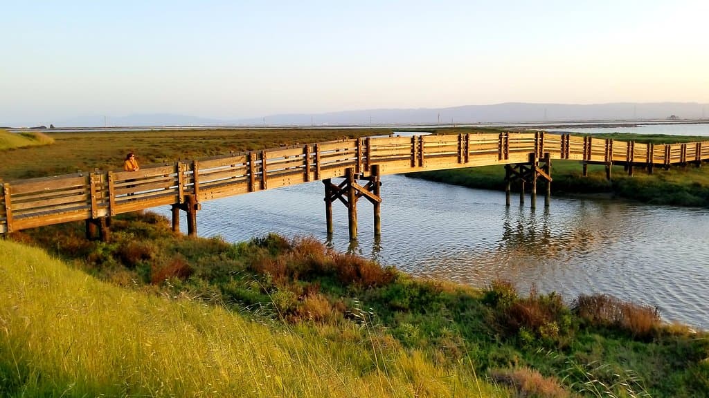 the small bridge