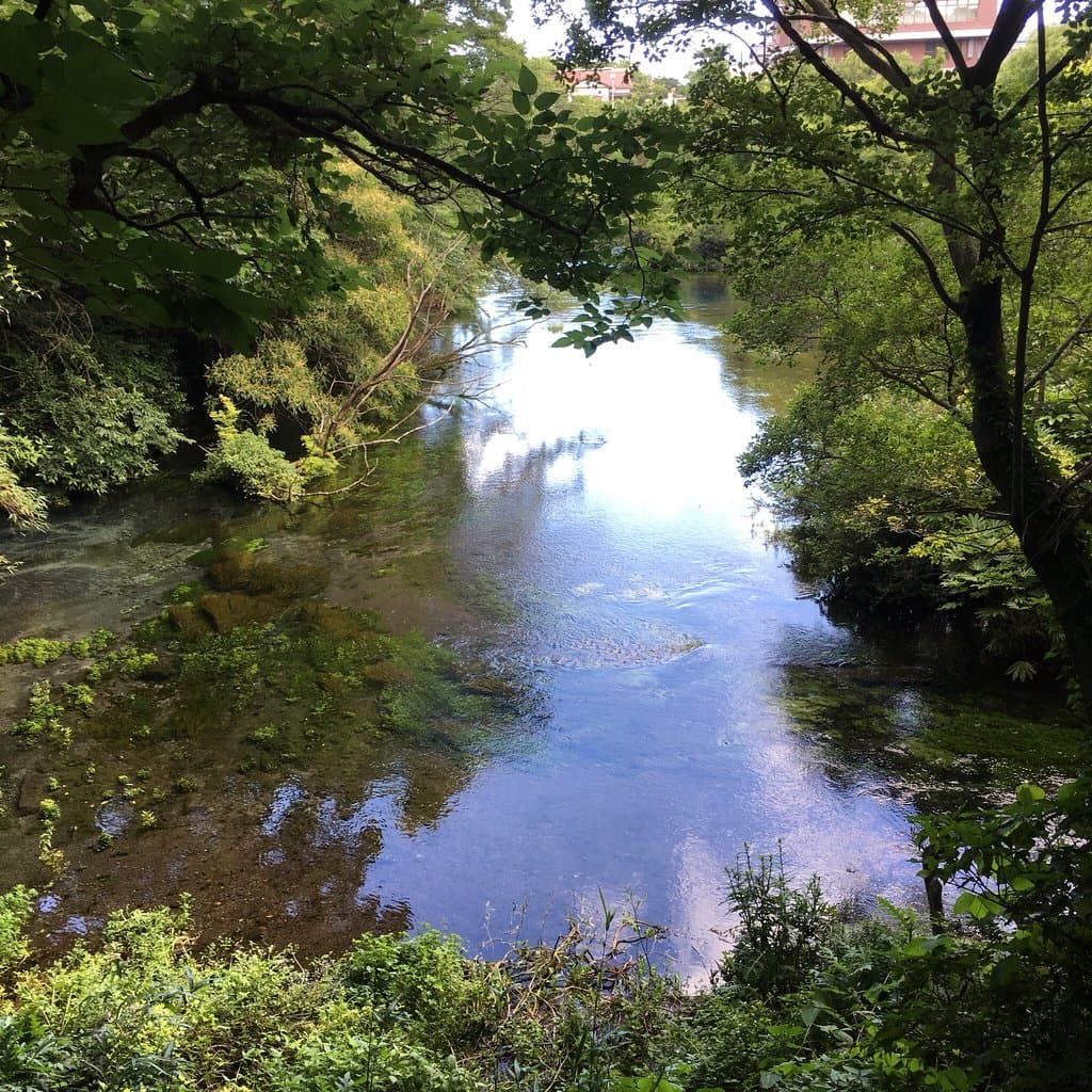 Kakitagawa Park (Kakita River Springs)