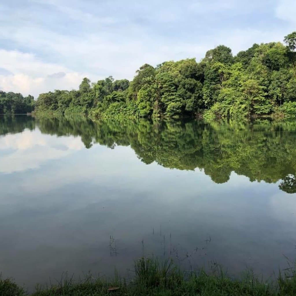 Mandai Boardwalk