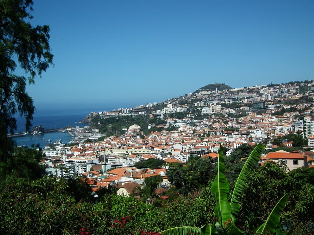 Garden view
