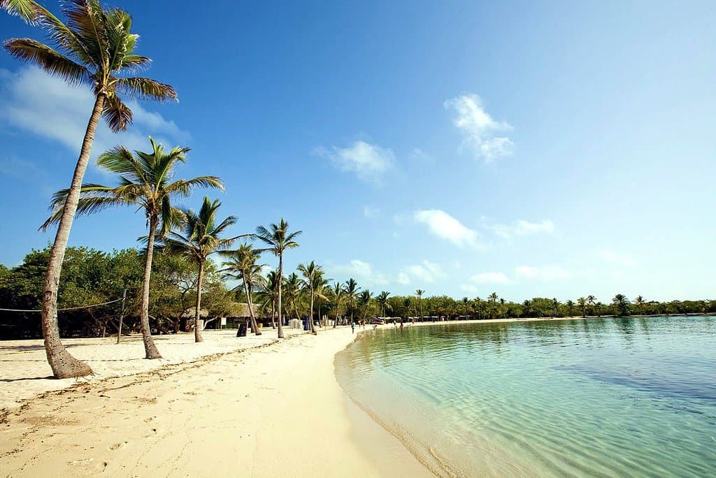 Morrocoy