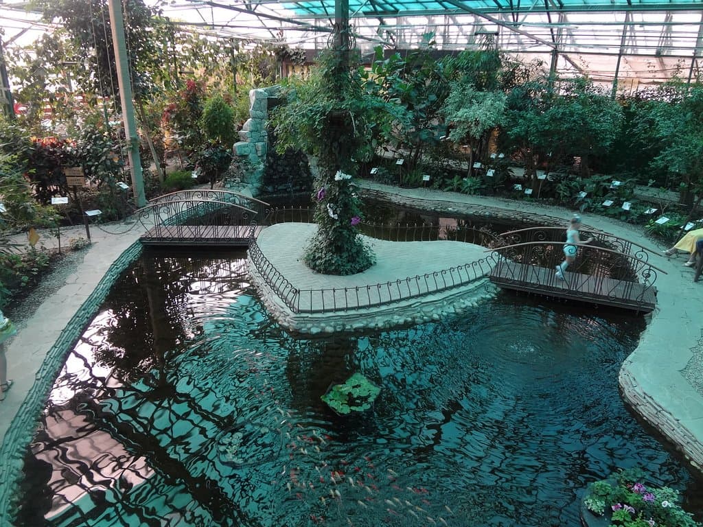 Остров Сердце