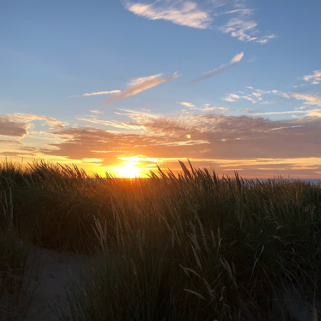 Bredene Dunes