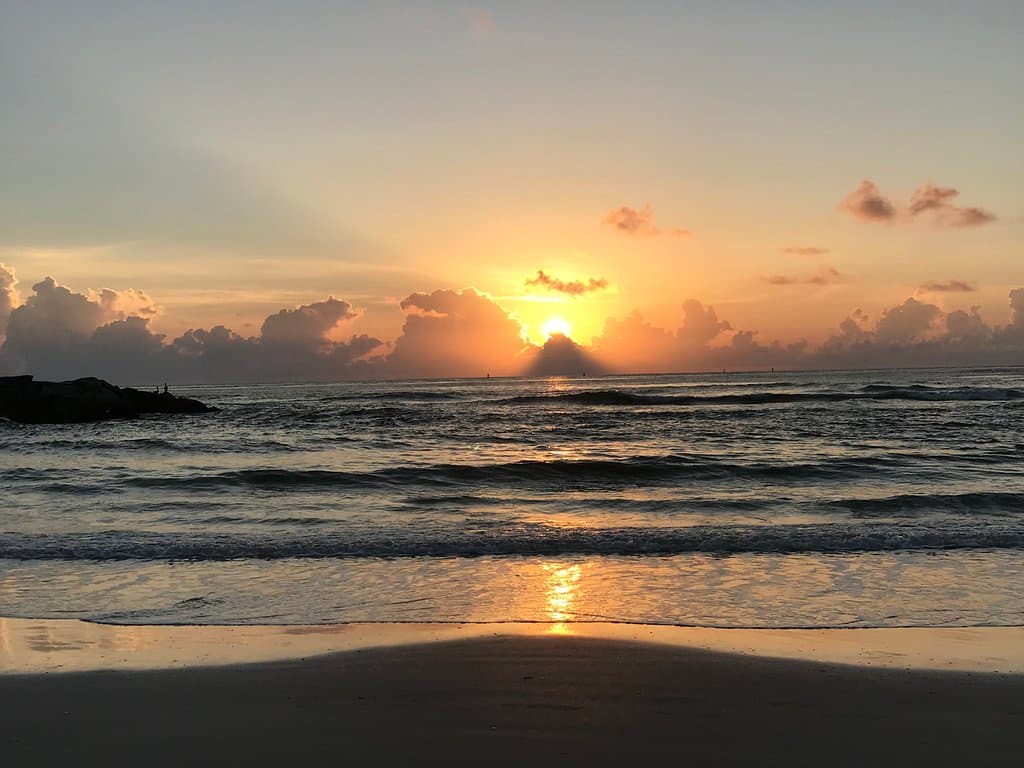the jetty and birds always make beautiful pictures