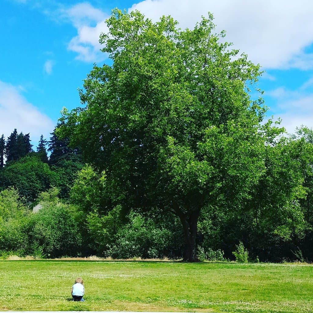 Tumwater Historical Park