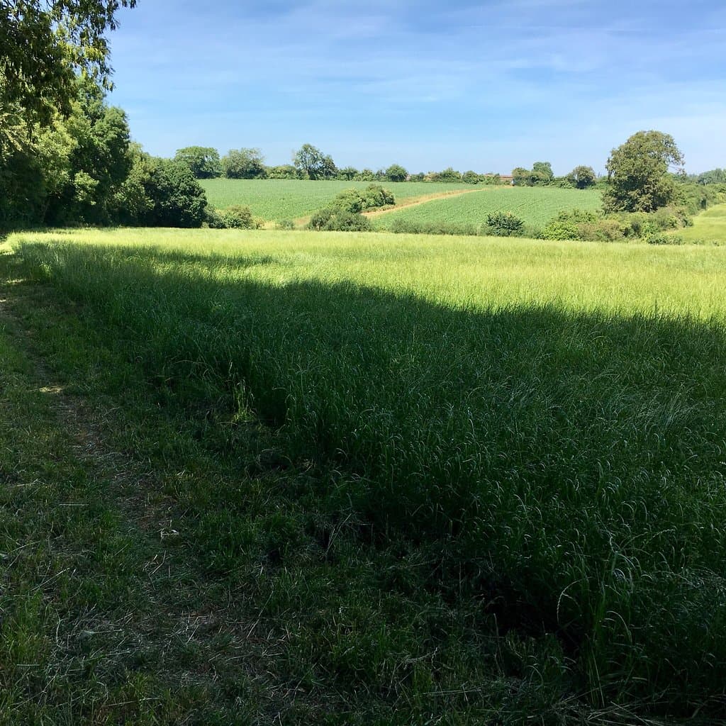 Hillingdon Trail
