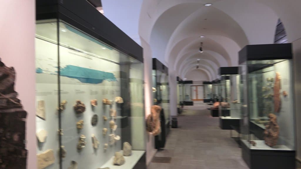 Paläontologisches Museum