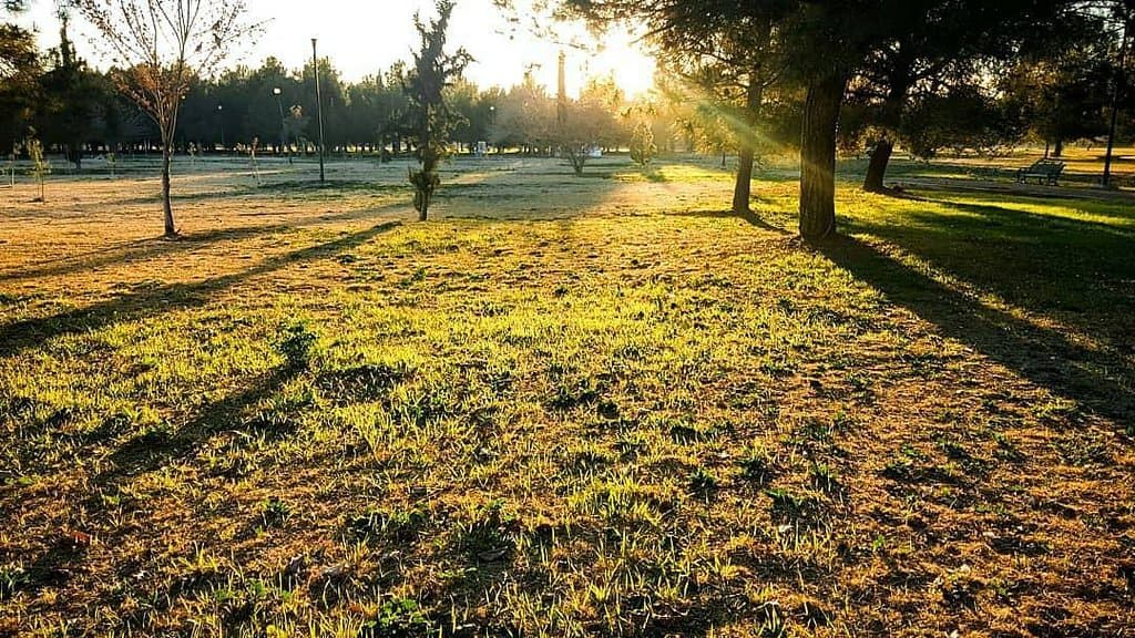 Parque de la Ciencia Fundadores