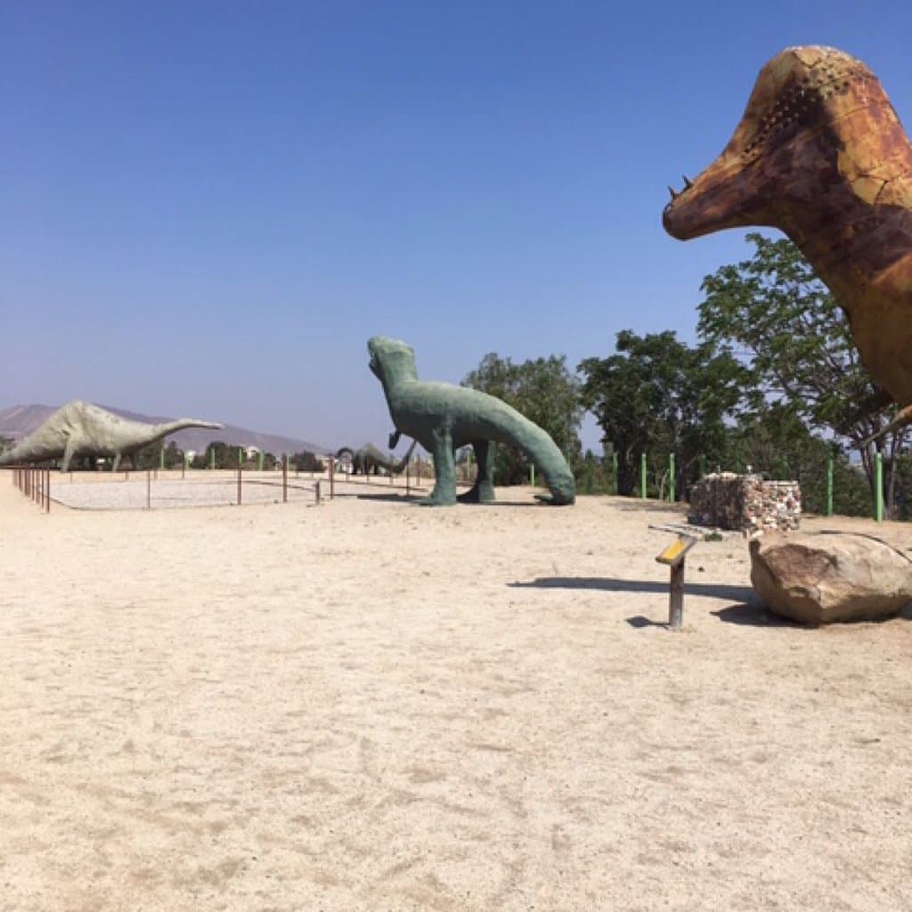 Callaway Discovery Center