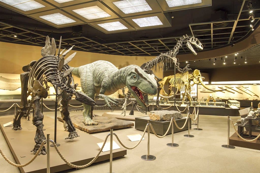 Tochigi Prefectural Museum