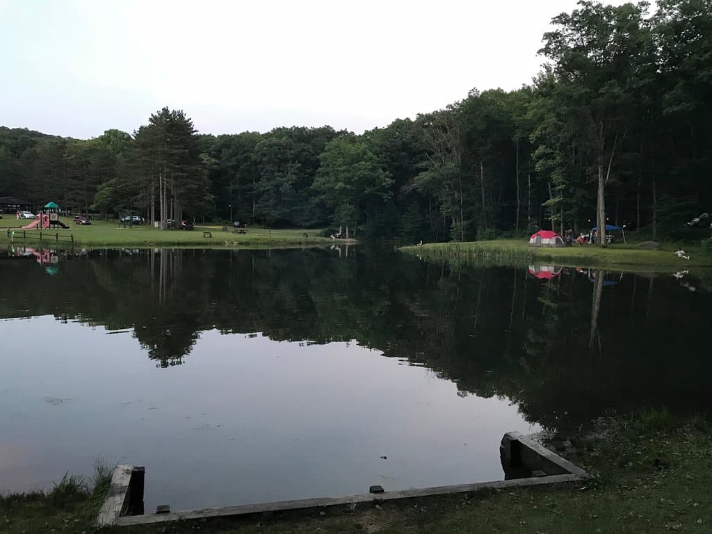 Pond