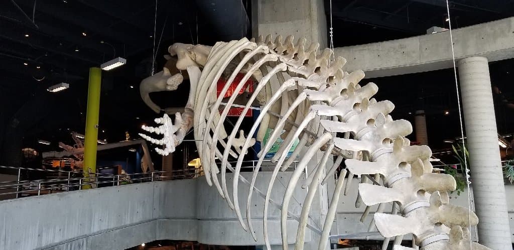 Science North