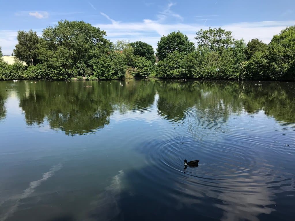 Lake