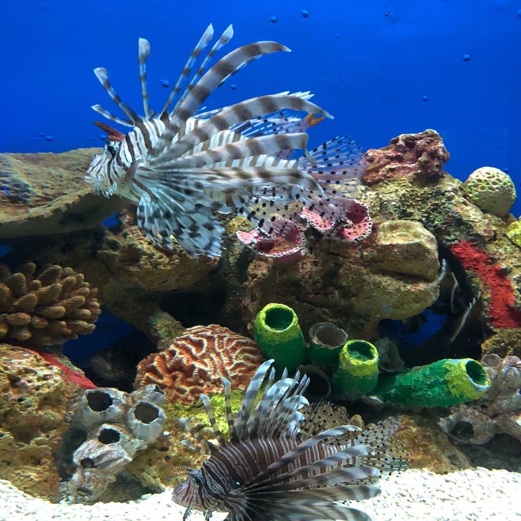 Manila Ocean Park