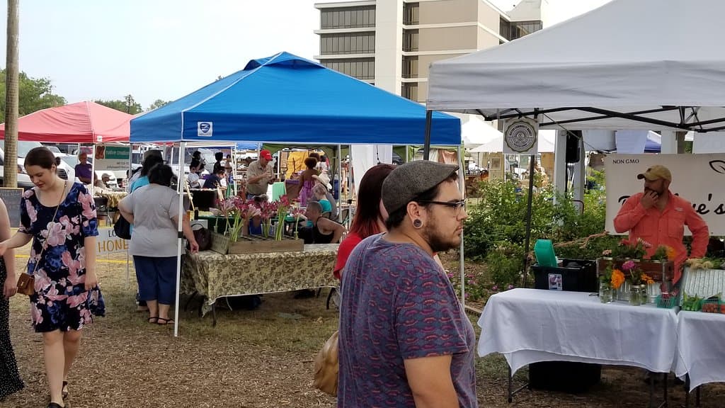 vendors