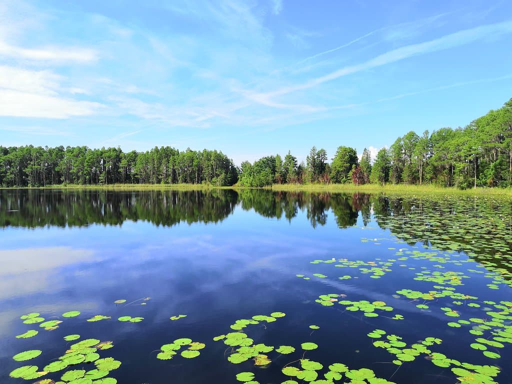 Lake Hammond