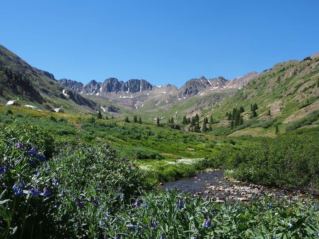 The American Basin with wildflowers