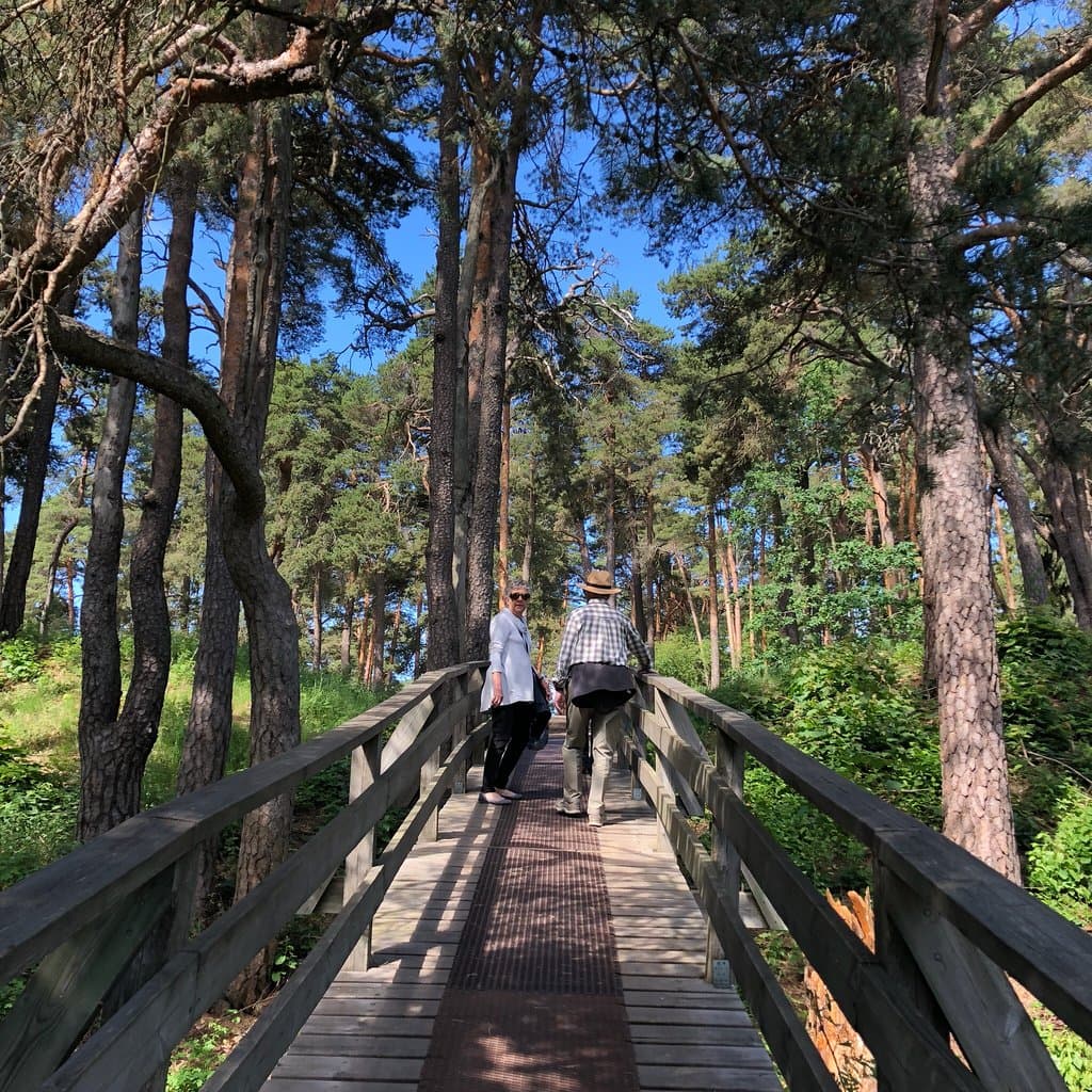 Kapatuoho Castle Hill