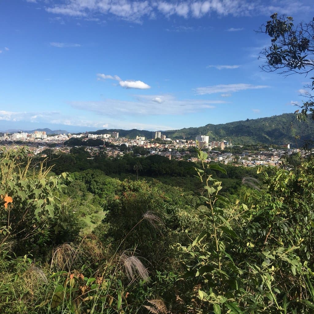 Jardín Botánico San Jorge