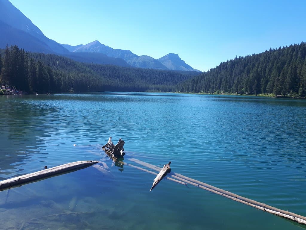 Chinook Lake Provincial Recreation Area