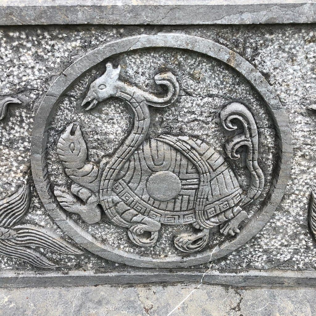 Sunning beauty in every aspect