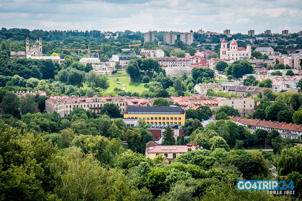 Widok z góry