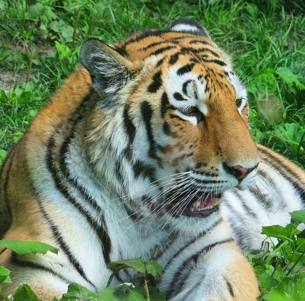 Penza Zoo