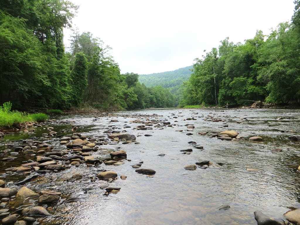 River for fishing, tubing, and wading