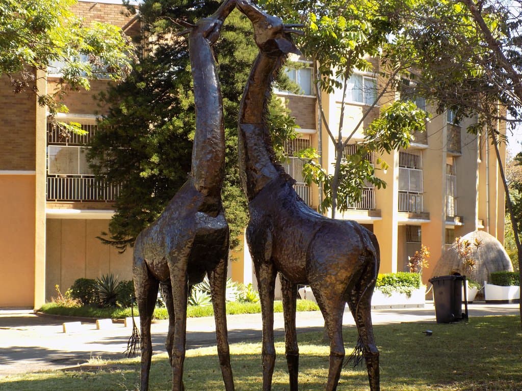 Natural History Museum: giraffes at entrance