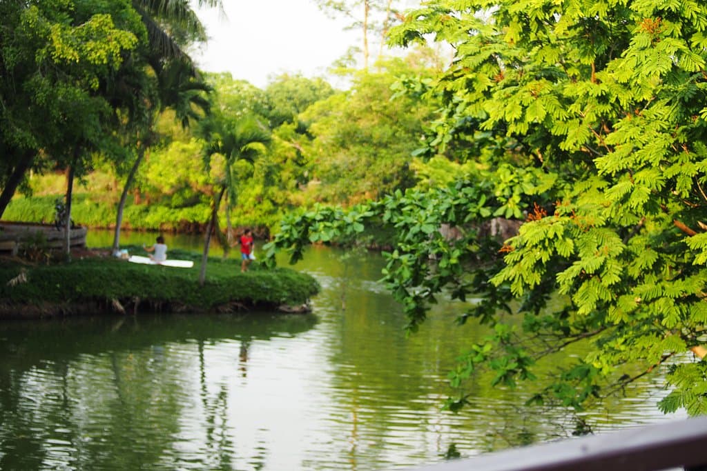 The shade - Sri Nahkhon Khuen Khan Park & Botanical Garden