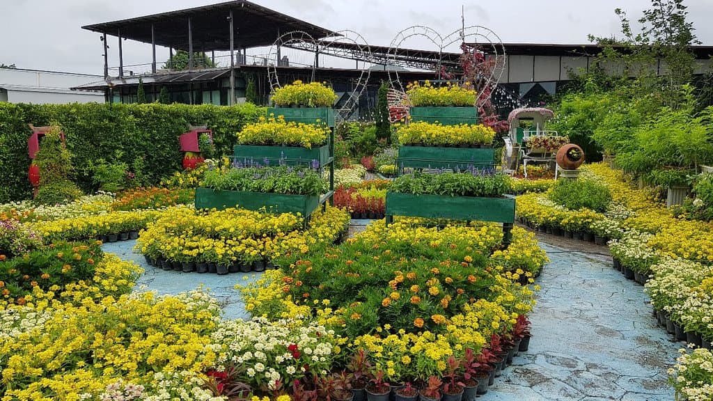 The Bloom Khao Yai